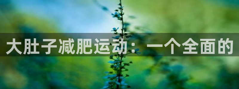 哈哈体育集团官网首页网址:大肚子减肥运动:一个全面的