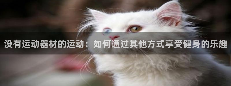 哈哈体育新能源:没有运动器材的运动:如何通过其他方式享受健身